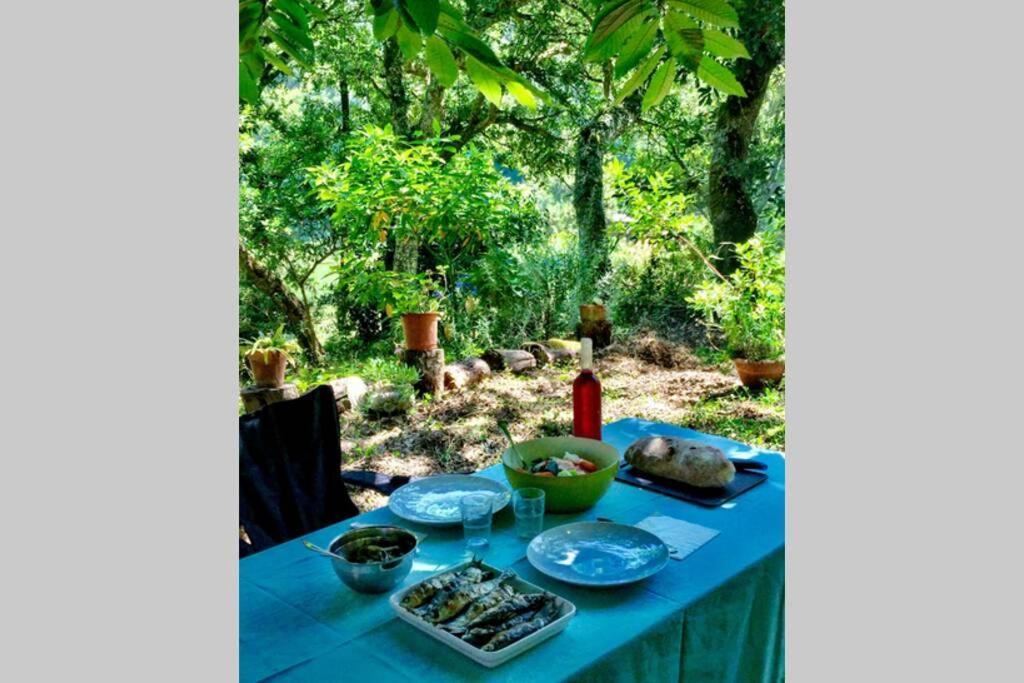 Quinta Biologica, Com Vista, Na Serra De Sintra Extérieur photo