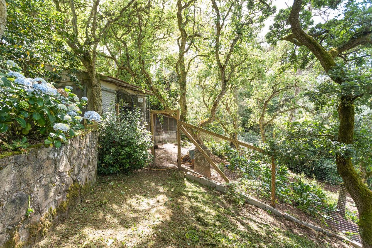 Quinta Biologica, Com Vista, Na Serra De Sintra Extérieur photo