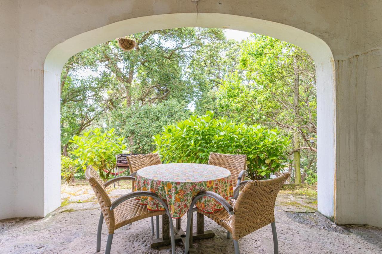 Quinta Biologica, Com Vista, Na Serra De Sintra Extérieur photo