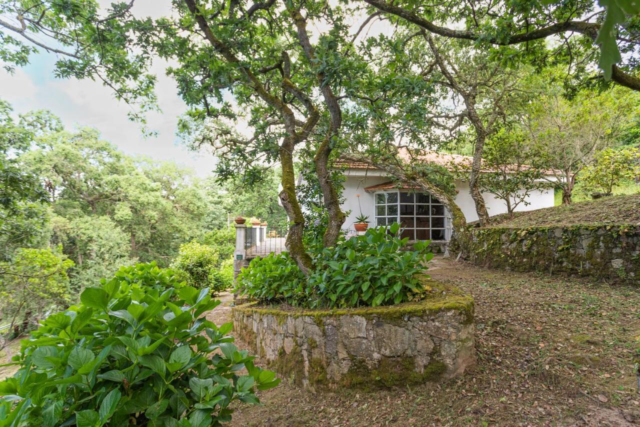 Quinta Biologica, Com Vista, Na Serra De Sintra Extérieur photo