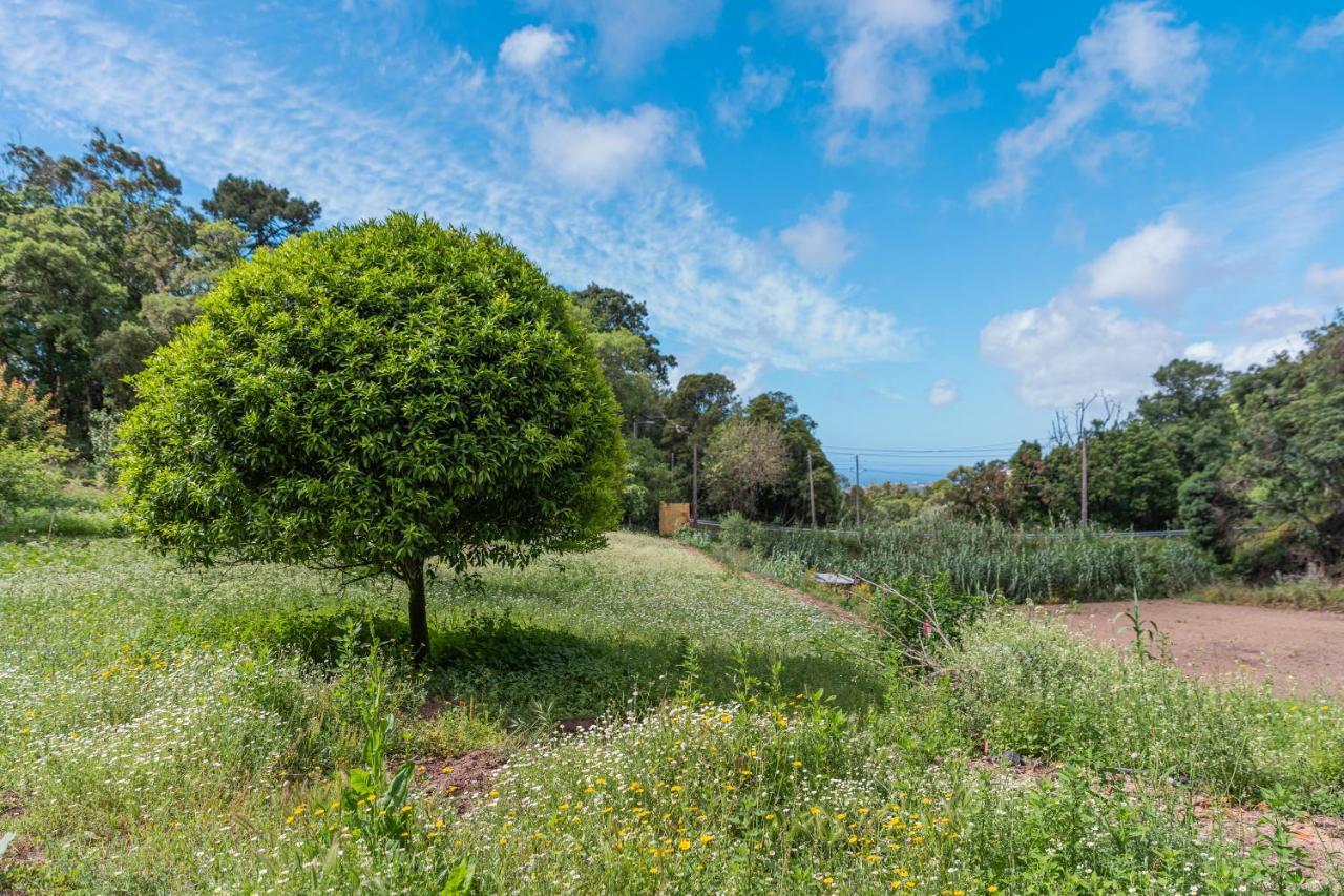 Quinta Biologica, Com Vista, Na Serra De Sintra Extérieur photo