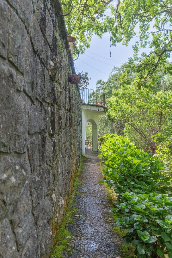 Quinta Biologica, Com Vista, Na Serra De Sintra Extérieur photo